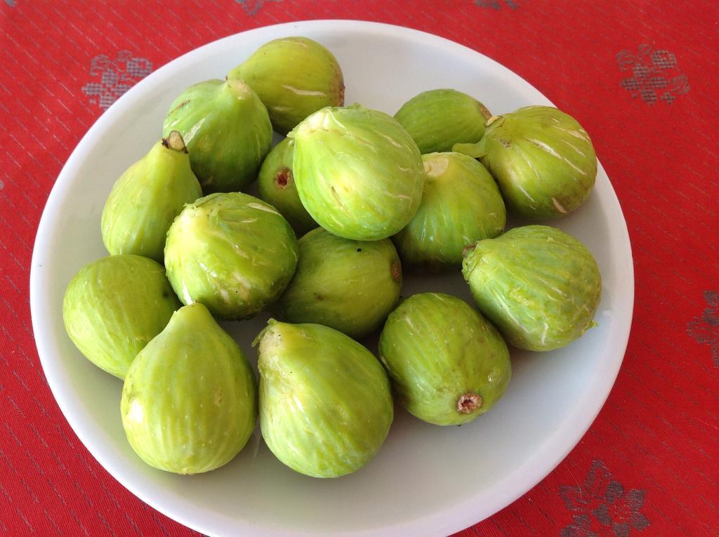 مبيت وإفطار سان ماورو سيلينتو Cilento المظهر الخارجي الصورة